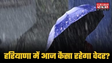 Haryana Weather