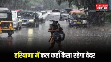 Haryana Weather