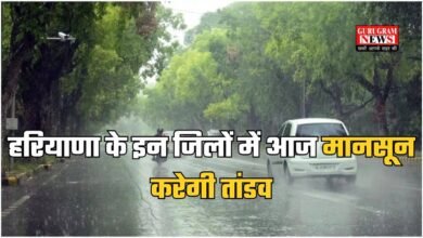 Haryana weather