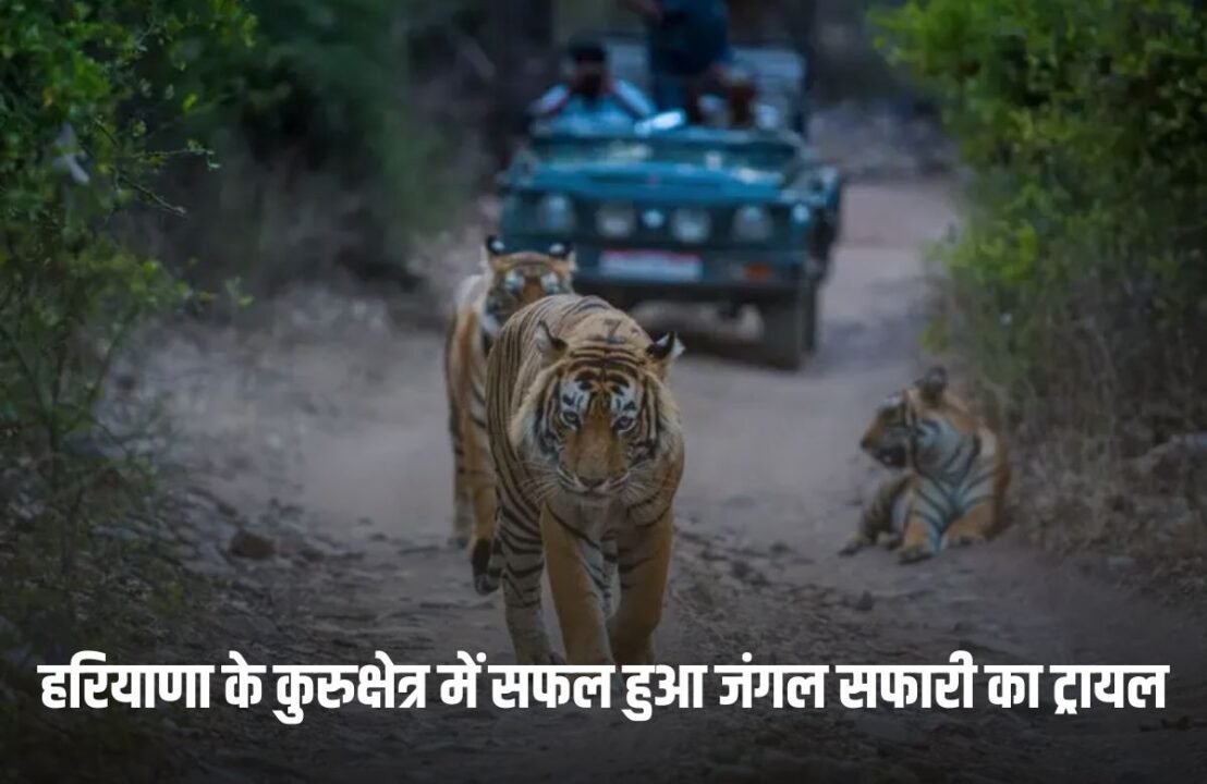 Jungle Safari trial was successful in Haryana's Kurukshetra