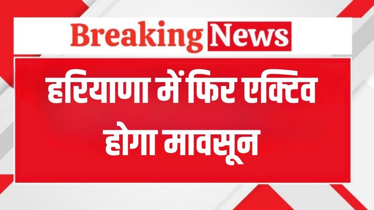 Monsoon will be active again in Haryana