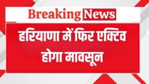 Haryana Weather Update: हरियाणा में कल रात से फिर एक्टिव होगा मानसून, 31 जुलाई तक होगी झमाझम बारिश