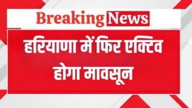 Monsoon will be active again in Haryana