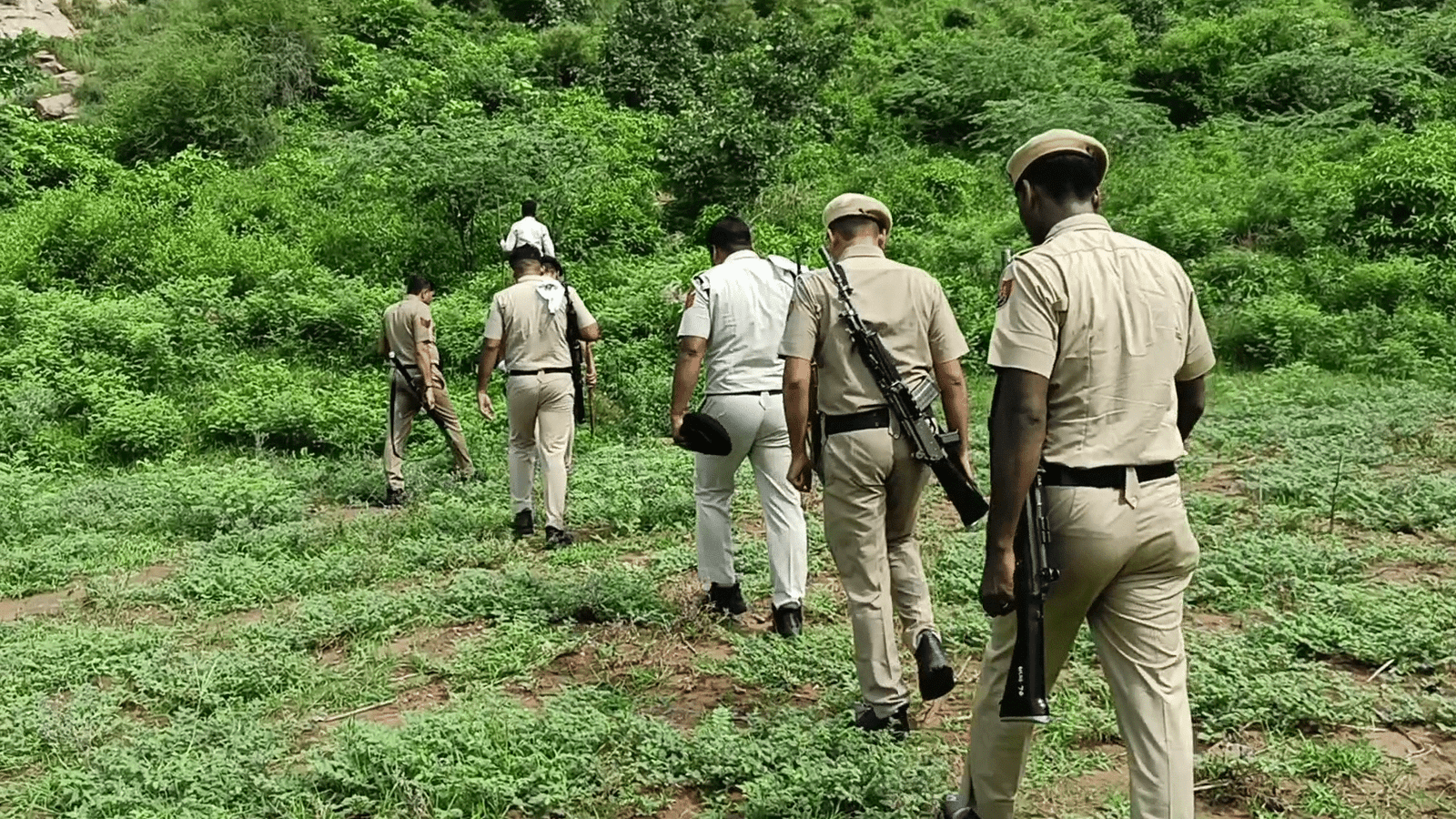 Nuh Braj Mandal Yatra 