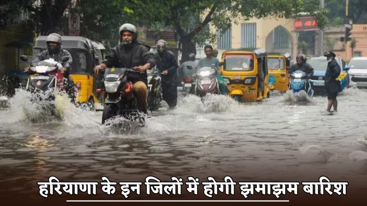 There will be heavy rain in these districts of Haryana