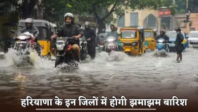 There will be heavy rain in these districts of Haryana