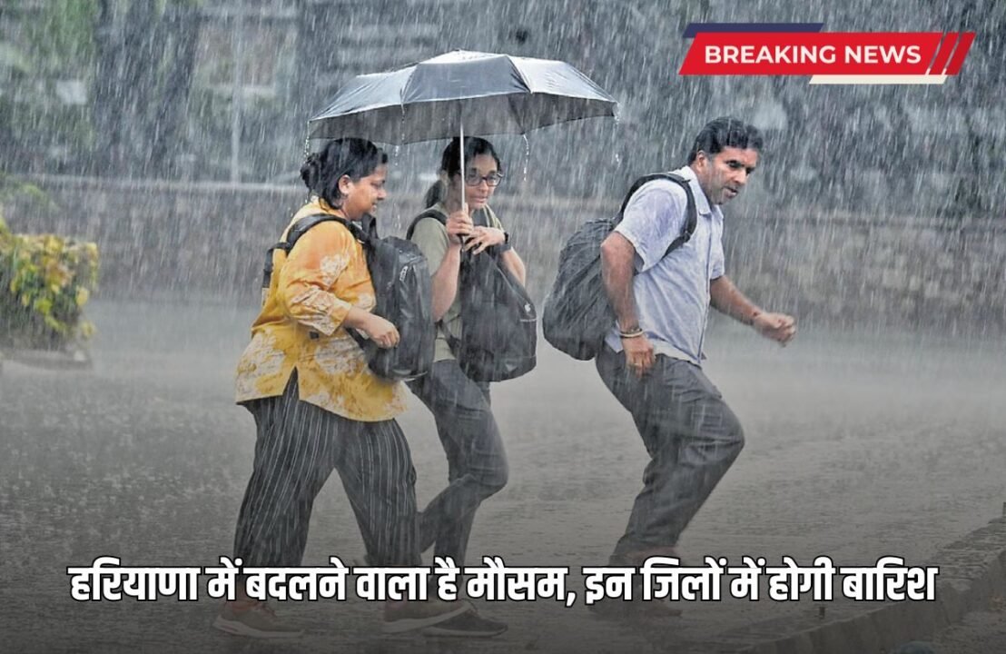 Weather is going to change in Haryana, it will rain in these districts