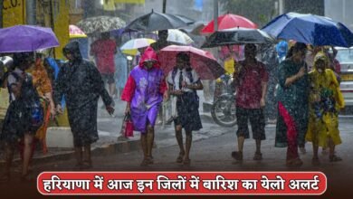 Haryana Weather Update: There will be heavy rain in 12 districts of Haryana today,