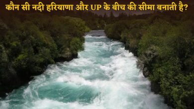 Which river forms the border between Haryana and Uttar Pradesh? Know here?