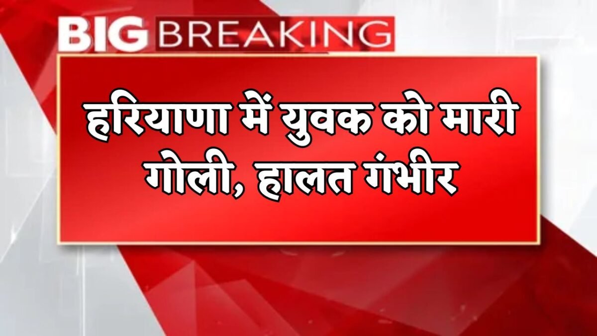 man shot in Haryana, condition critical, know what the police said-16447-2