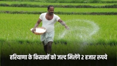 Haryana News: 2 thousand rupees will come in the account of the farmers of Haryana, check it quickly