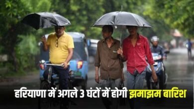 Haryana Rain Alert: It will rain in these districts of Haryana in the next 3 hours, alert issued
