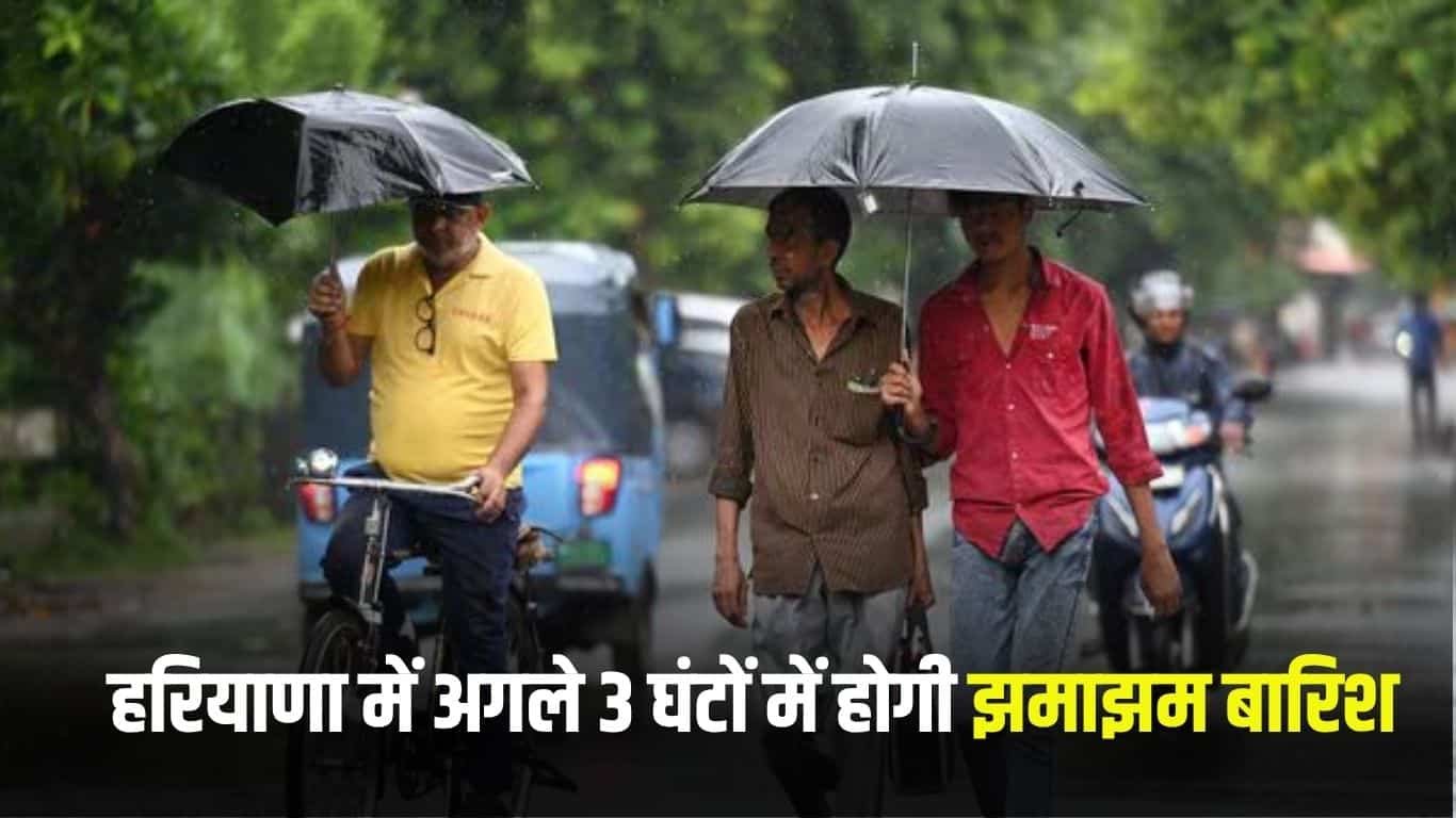 Haryana Rain Alert: It will rain in these districts of Haryana in the next 3 hours, alert issued