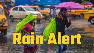 Rain Alert