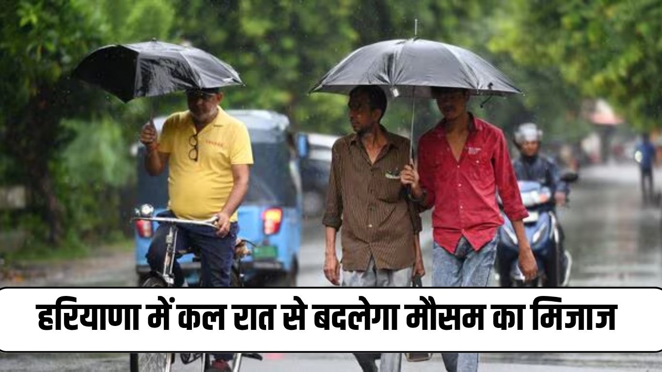 Haryana weather: Weather will change in Haryana from tomorrow night, heavy rain expected in 7 districts