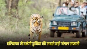 Haryana Jungle Safari: हरियाणा को मिली बड़ी सौगात, 10,000 एकड़ में बनेगी दुनिया की सबसे बड़ी जंगल सफारी, काम हुआ शुरू