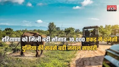 Haryana Jungle Safari