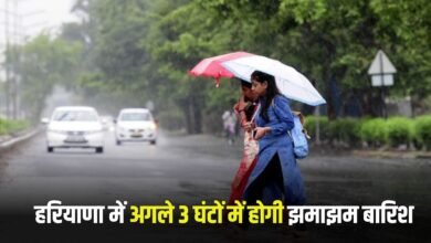 Haryana Rain Update: It will rain in these districts of Haryana in the next 3 hours, IMD has issued an alert