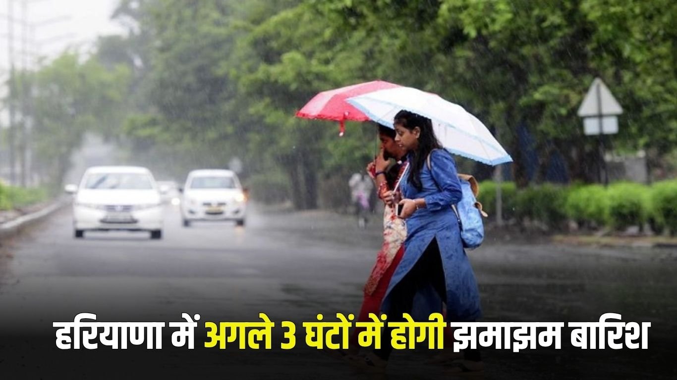 Haryana Rain Update: It will rain in these districts of Haryana in the next 3 hours, IMD has issued an alert