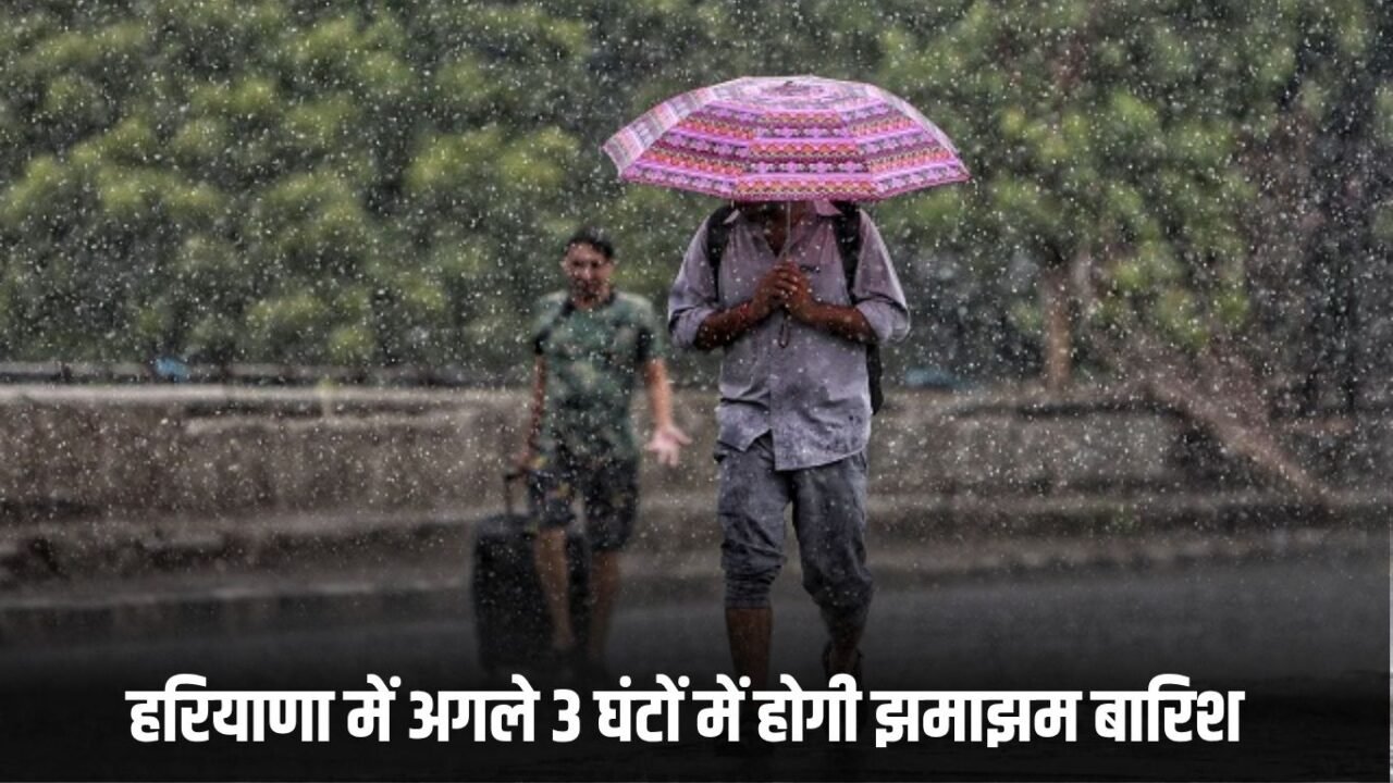 Haryana Rain Alert: It will rain in these districts of Haryana in the next three hours, alert issued