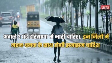 Haryana Rain Alert