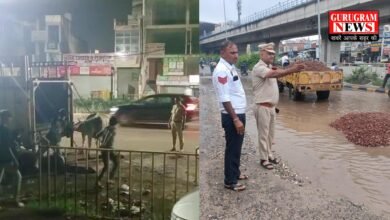 Great Gurugram Police