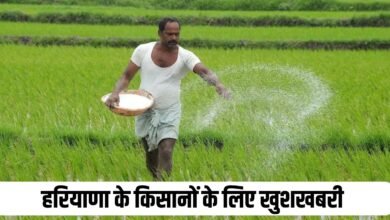 Haryana News: Haryana farmers are happy, CM Saini made a big announcement