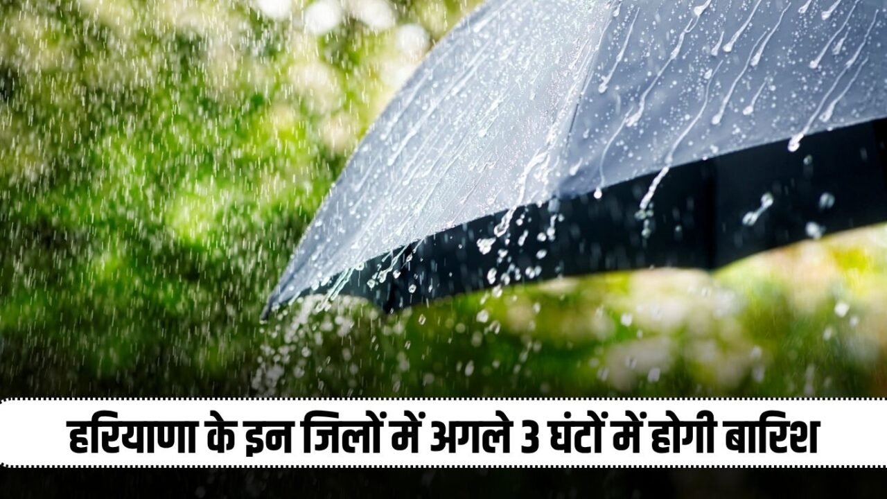 Haryana Rain Alert: There will be rain in these districts of Haryana in the next 3 hours, alert issued
