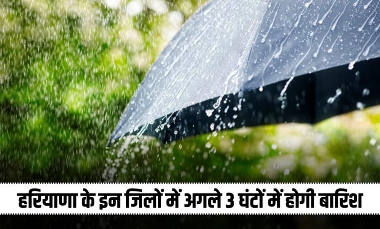 Haryana Rain Alert: There will be rain in these districts of Haryana in the next 3 hours, alert issued
