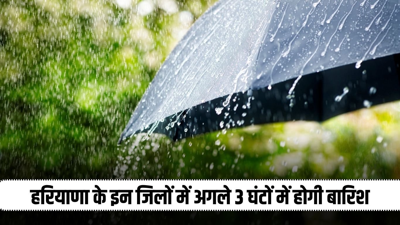 Haryana Rain Alert: There will be rain in these districts of Haryana in the next 3 hours, alert issued