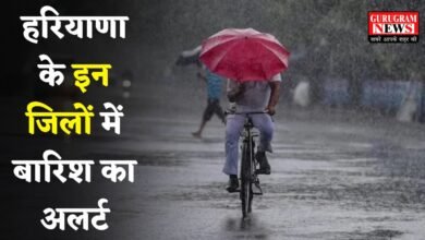 Rain alert in these districts of Haryana