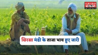 Latest rates of Haryana's Sirsa Mandi released