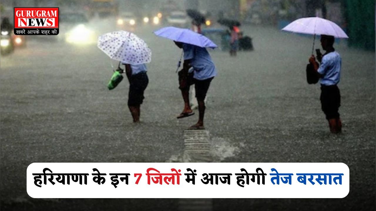 There will be heavy rain in these 7 districts of Haryana today