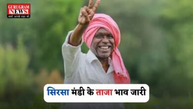 Latest rates of Haryana's Sirsa Mandi released