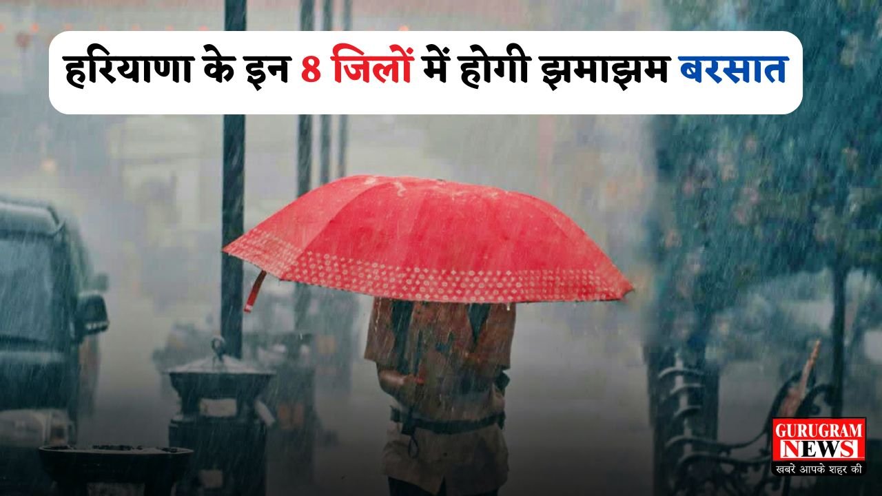 There will be heavy rain in these 8 districts of Haryana