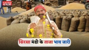 Mandi Bhav: हरियाणा की सिरसा मंडी के ताजा भाव जारी, देखें सभी फसलों के नए रेट