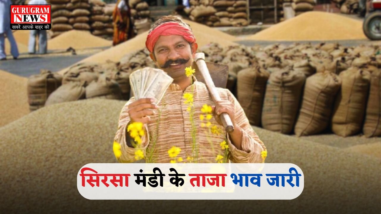 Latest rates of Haryana's Sirsa Mandi released