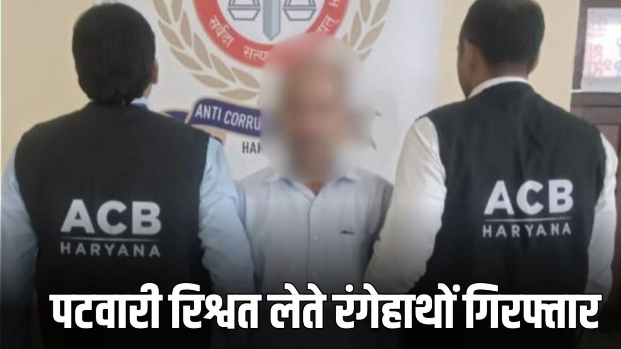 Haryana News: Big action by Haryana ACB, Patwari arrested red handed while taking bribe