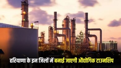 Haryana News: Industrial townships will be built in these districts of Haryana, land rates will reach sky high