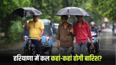 Haryana Weather Update: Where will it rain in Haryana tomorrow? See weather forecast