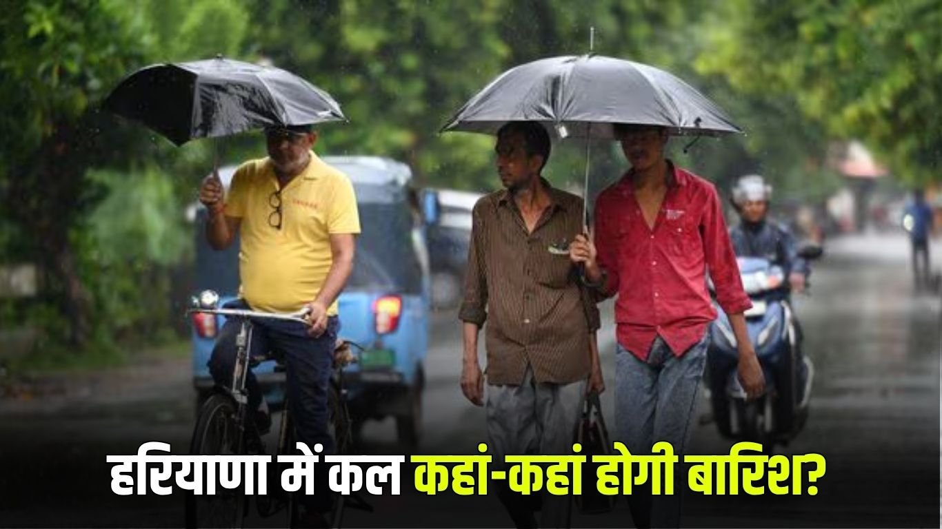 Haryana Weather Update: Where will it rain in Haryana tomorrow? See weather forecast