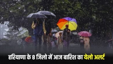 Haryana Weather Update: There will be heavy rain in these districts of Haryana, IMD has issued a yellow alert