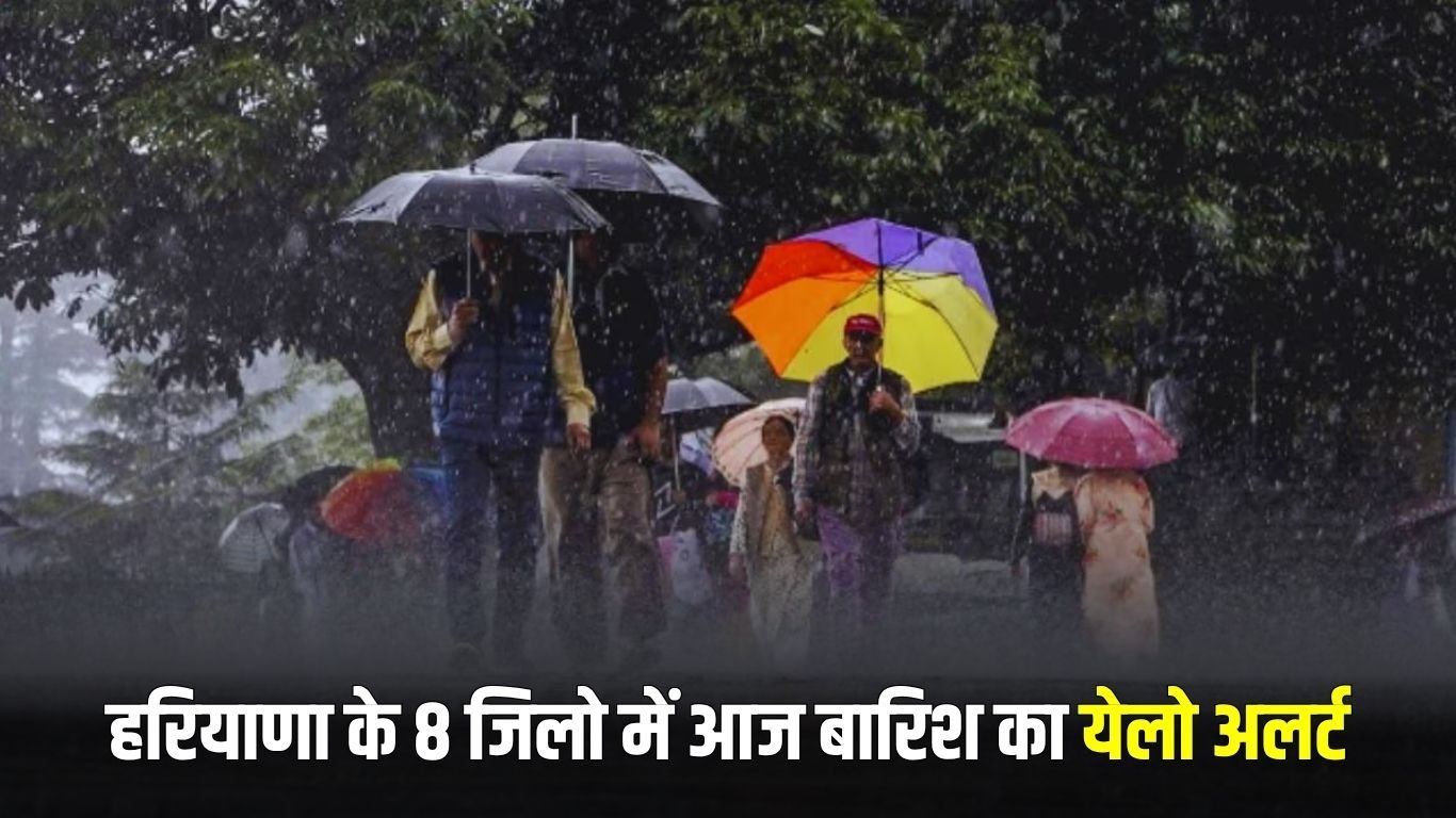 Haryana Weather Update: There will be heavy rain in these districts of Haryana, IMD has issued a yellow alert