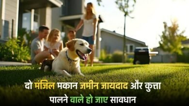 Haryana: People who have two-storey houses, real estate and dog owners should be careful! Haryana government has tightened the noose