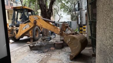 Bulldozer Action In Rosewood City