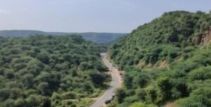 Aravali को निहारने का नया केंद्र: मांगर बनी में बनेंगे दो वॉच टावर, पर्यटक और वन अधिकारी दोनों रखेंगे निगरानी