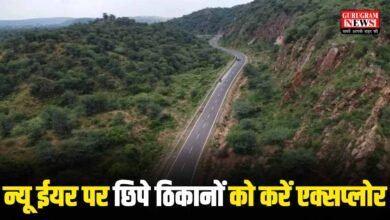 New Year Celebrations