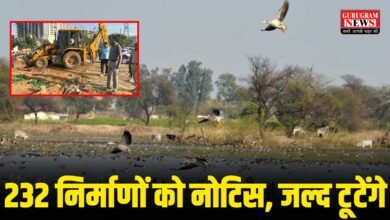 Sultanpur Bird Sanctuary
