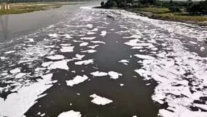 Mission Yamuna: मुख्य सचिव का सख्त निर्देश, प्रदूषण नियंत्रण के लिए हरियाणा में हर नाले पर बनेगी ड्रेन-वाइज कमेटी