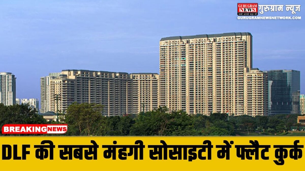 DLF Camellias ED Action